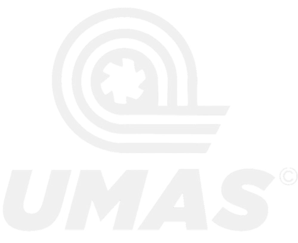 Logo Footer